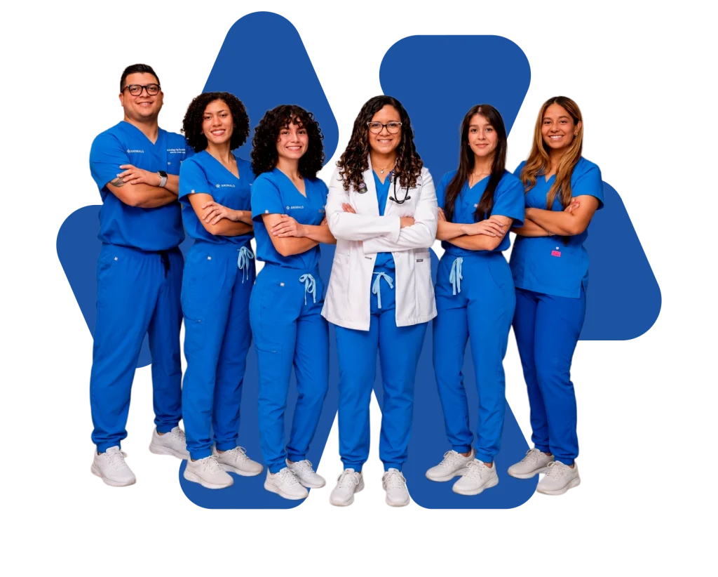 Equipo de Animalis Veterinary