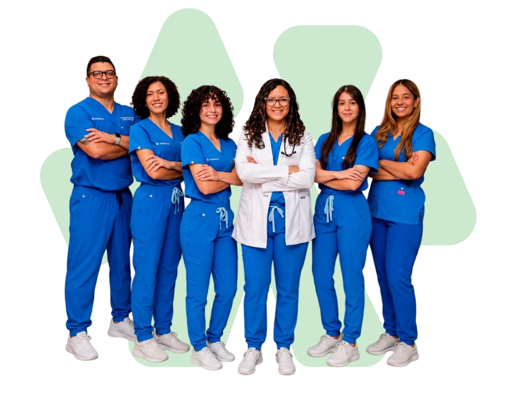 Equipo de Animalis Veterinary