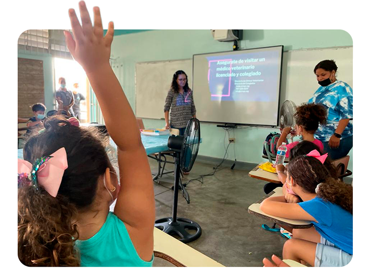 Animalis Foundation School
