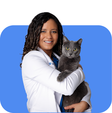 Veterinaria con gatito